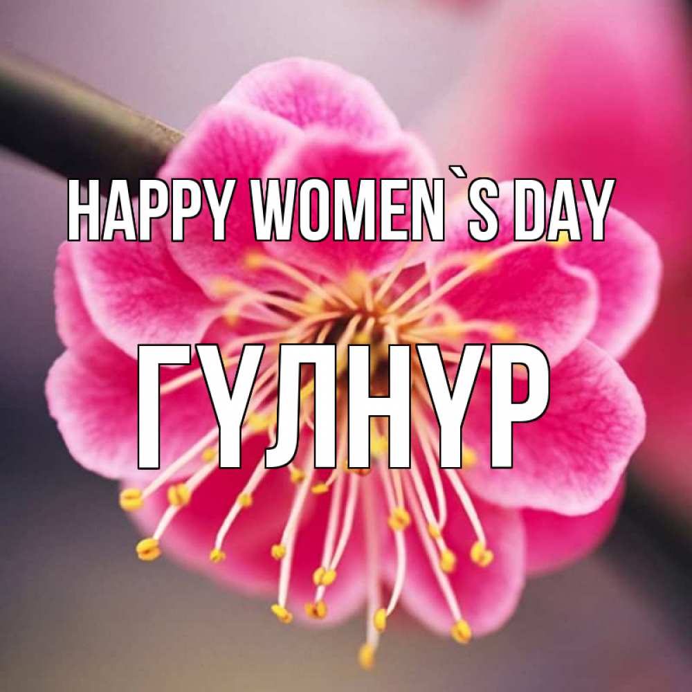 Greetings card с именем, ГҮЛНҮР happy women`s day цветы Greetings with text for free download 